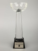 Кубок Cupture