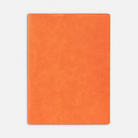 Ежедневник в суперобложке Brave Book, недатированный