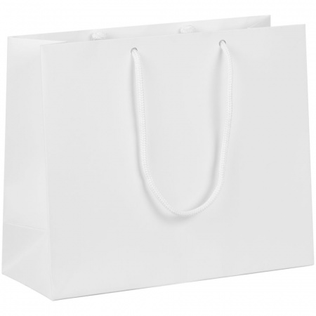 Пакет бумажный с ламинацией Lami Tote S