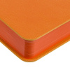 Ежедневник Flexpen Color, датированный