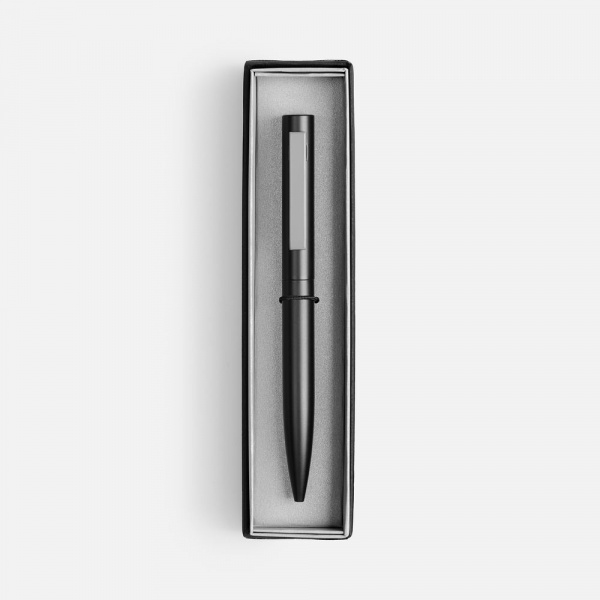 Ручка шариковая Inkolor в футляре