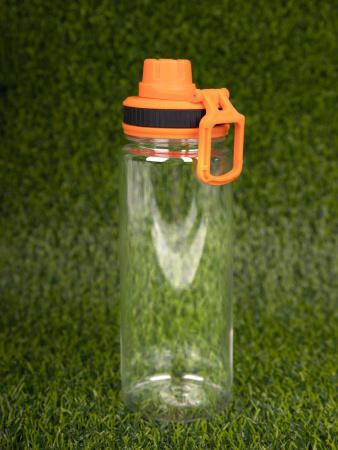 Бутылка Dayspring